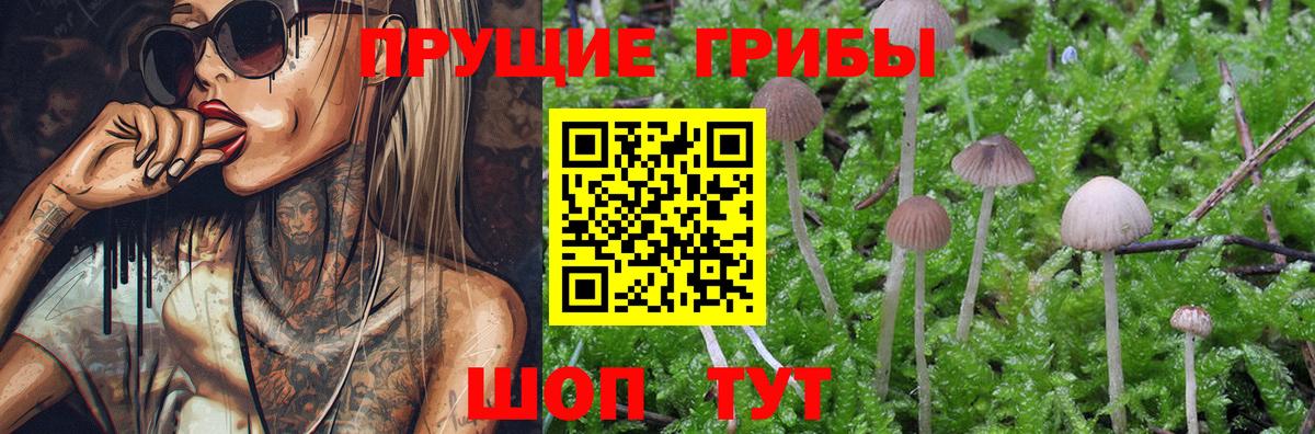 Галлюциногенные грибы Cubensis  Вход с VPN  Кострома 
